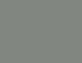 Chant ABS Egger - U732 GRIS MACADAM