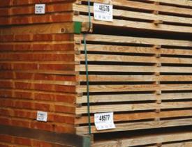 Douglas avivé - Choix I - 95% hors aubier