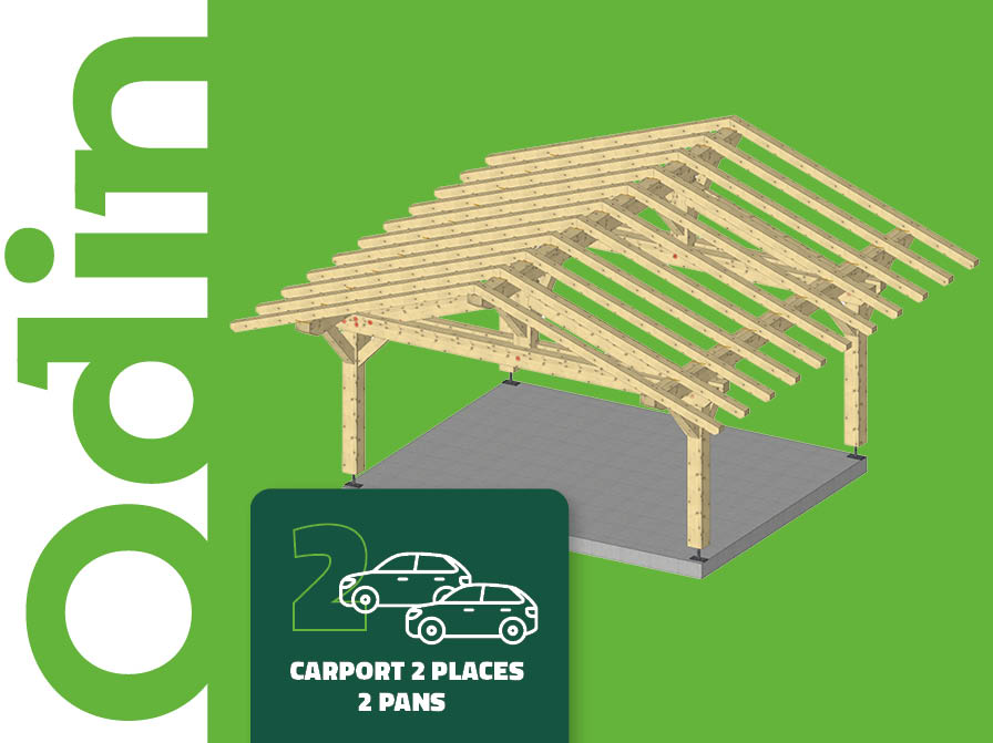 CARPORTS 2 PLACES : ODIN
