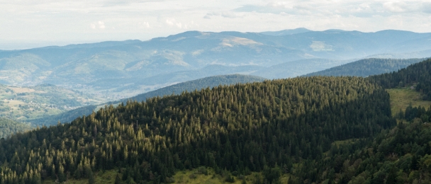 Vous êtes en dehors de la zone de chalandise